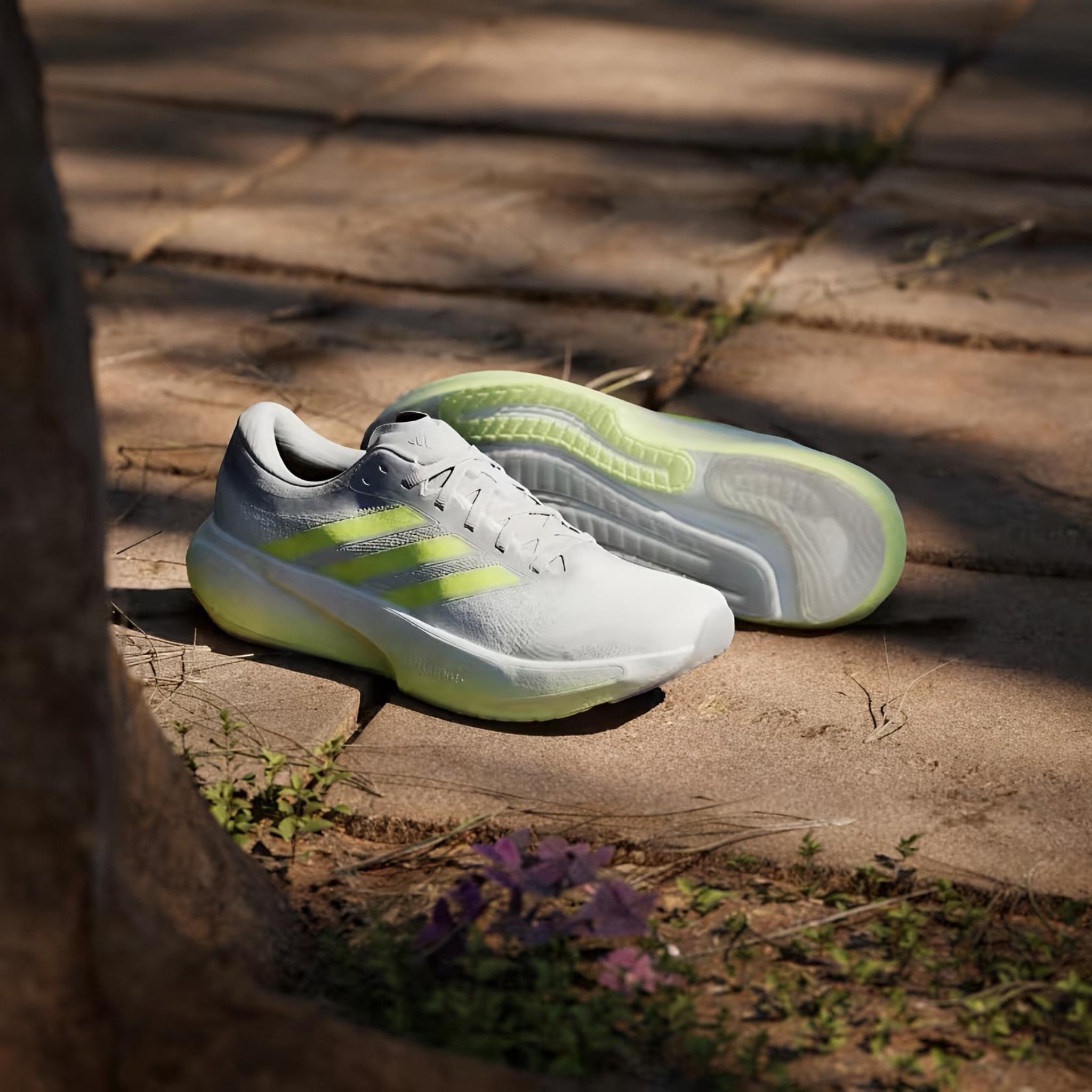 Adi Supernova Rise 3 (Grey Lime)