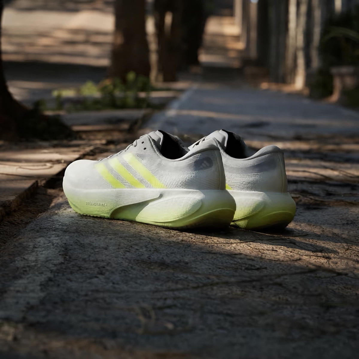 Adi Supernova Rise 3 (Grey Lime)