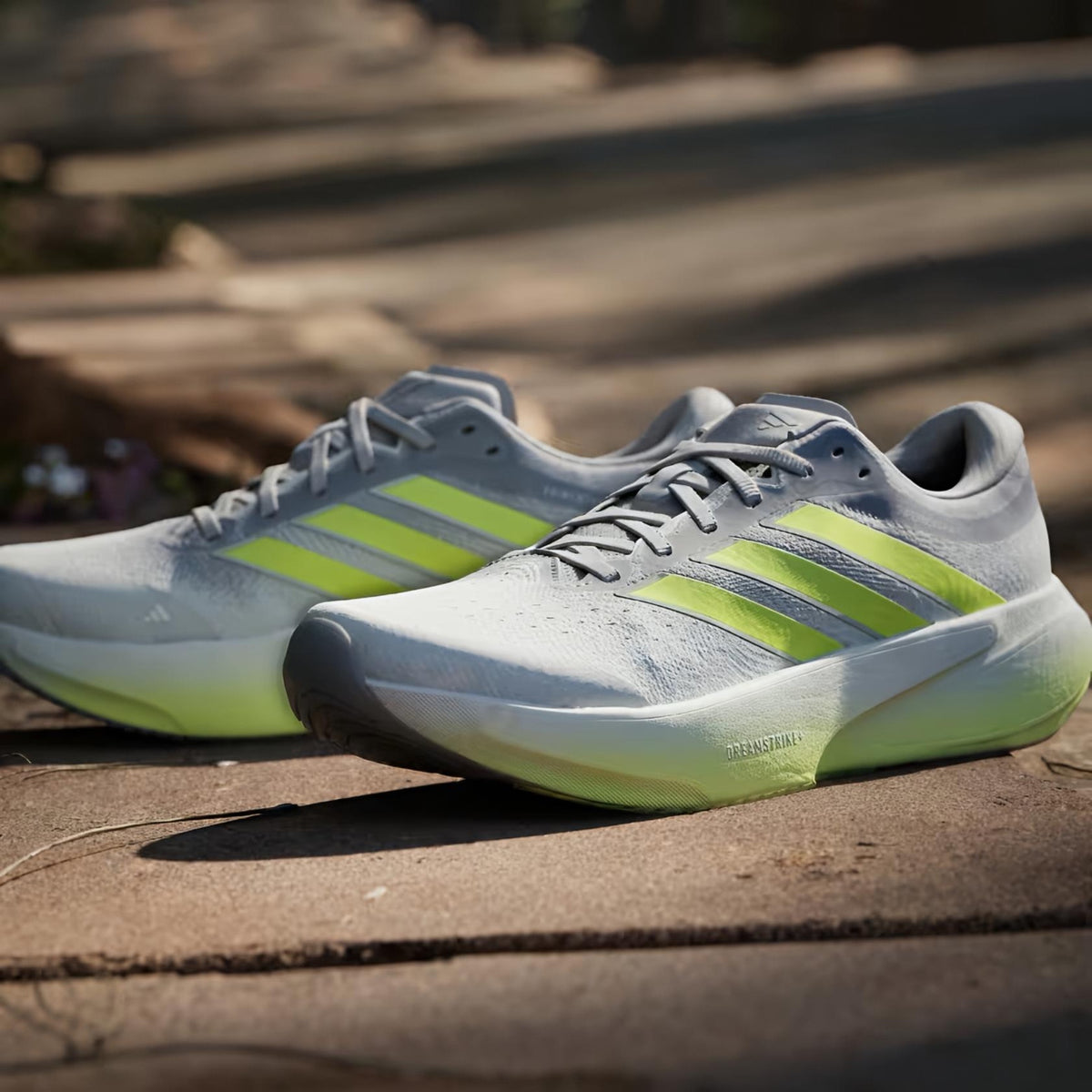 Adi Supernova Rise 3 (Grey Lime)