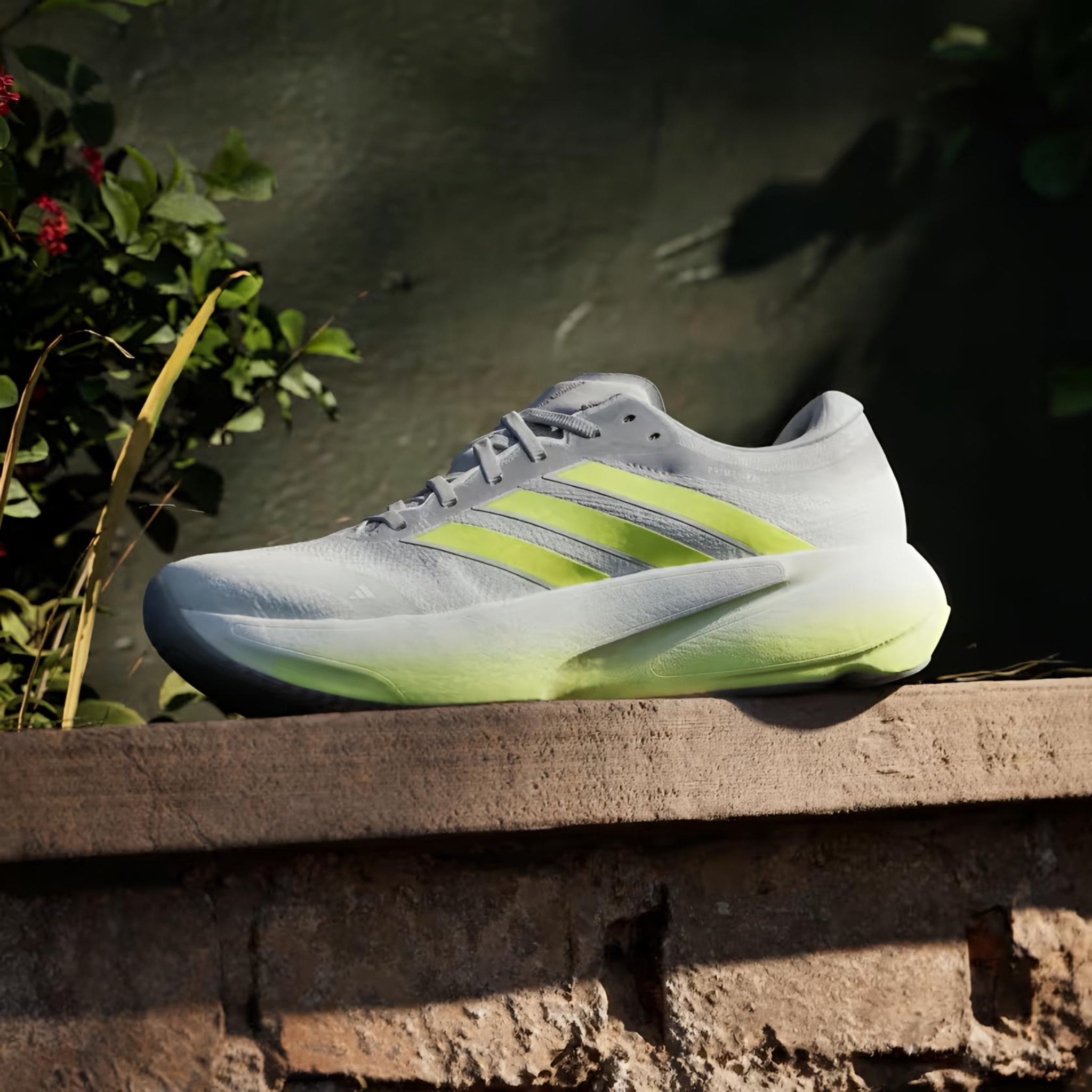 Adi Supernova Rise 3 (Grey Lime)