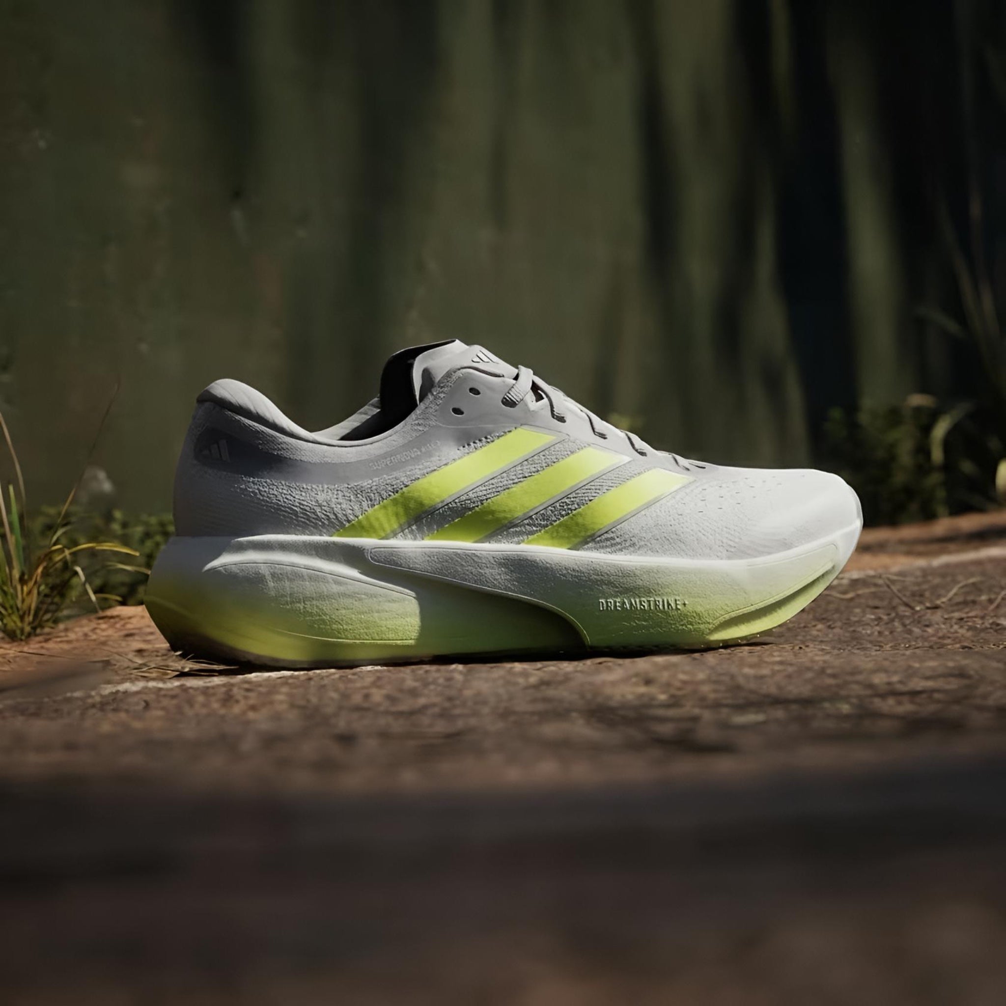 Adi Supernova Rise 3 (Grey Lime)