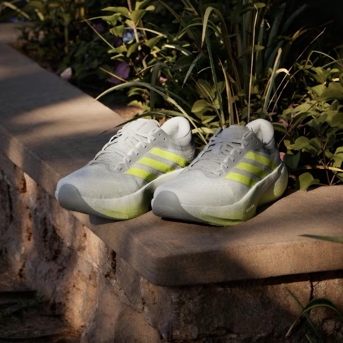 Adi Supernova Rise 3 (Grey Lime)